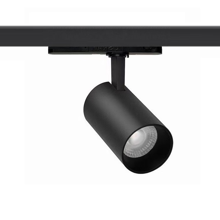 DALI Tunable White  I   DT8